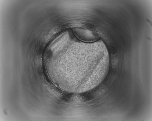 X0000100420207200806201830