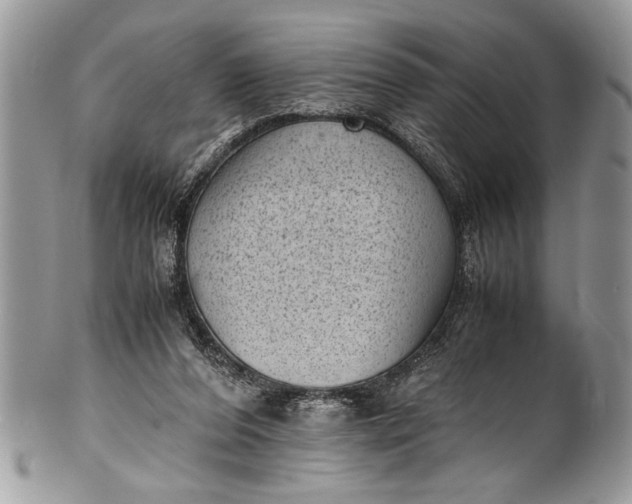 X0000100420208200806201830