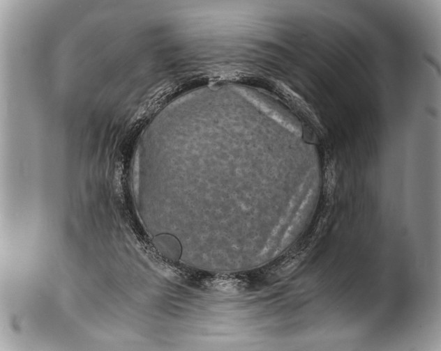 X0000100420209200806201830
