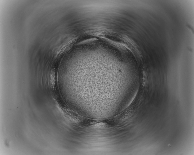 X0000100420210200806201830