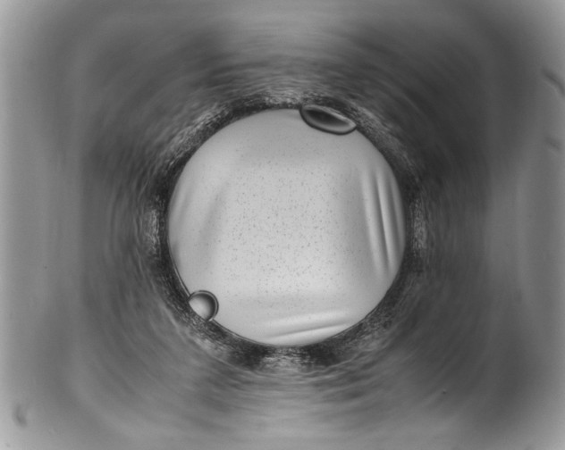 X0000100420211200806201830