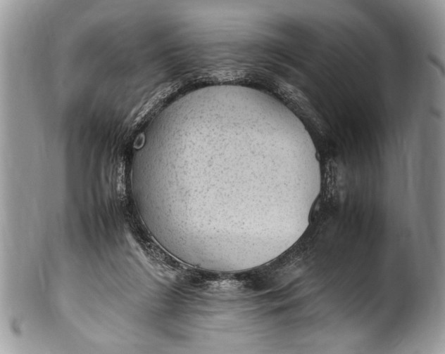 X0000100420212200806201830
