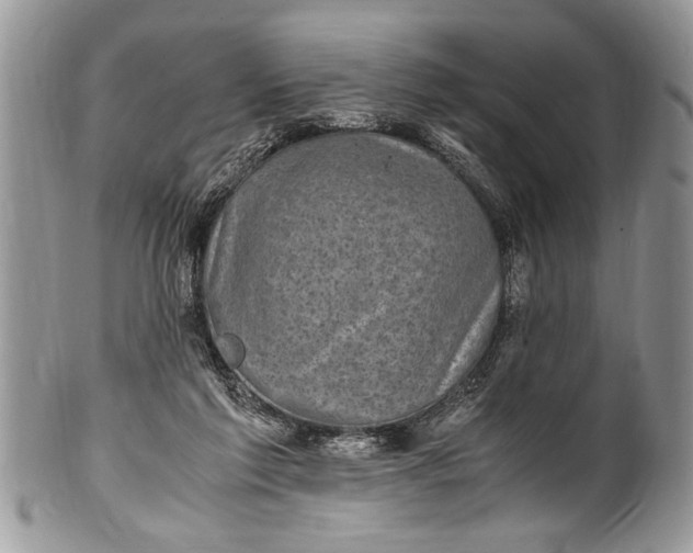 X0000100420213200806201830