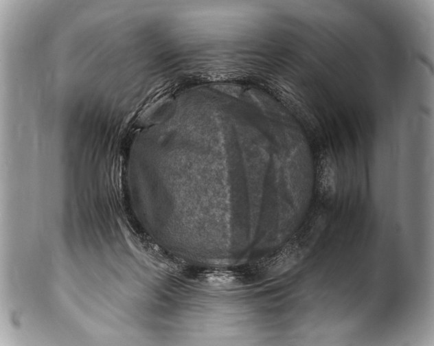 X0000100420214200806201830