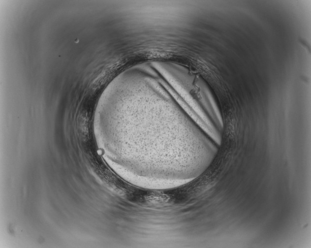 X0000100420215200806201830