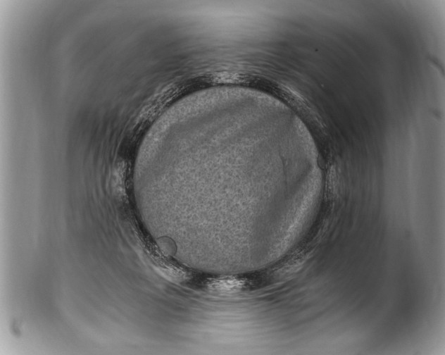 X0000100420217200806201830