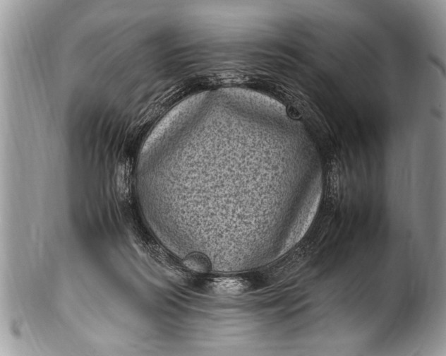 X0000100420218200806201830