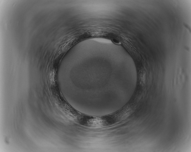 X0000100420219200806201830
