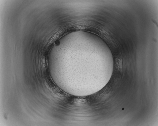 X0000100420220200806201830