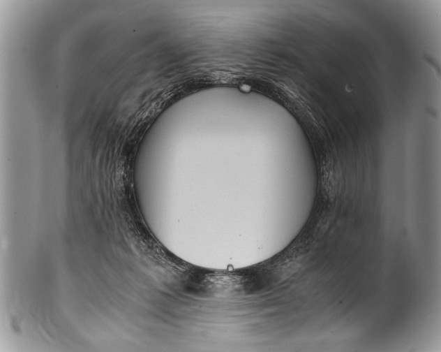 X0000100420221200806201830