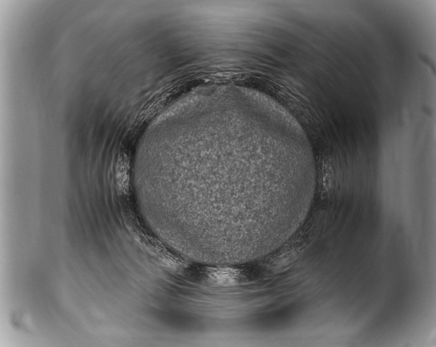 X0000100420226200806201830