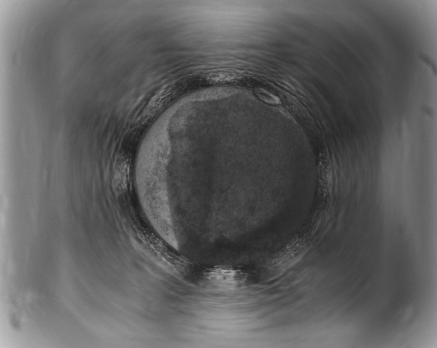 X0000100420227200806201830