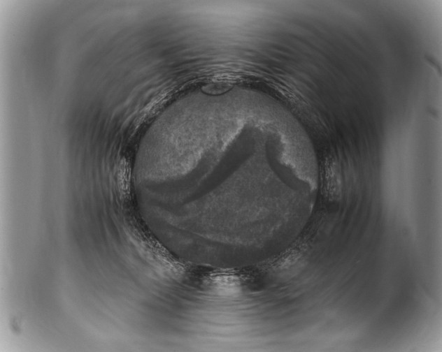 X0000100420228200806201830