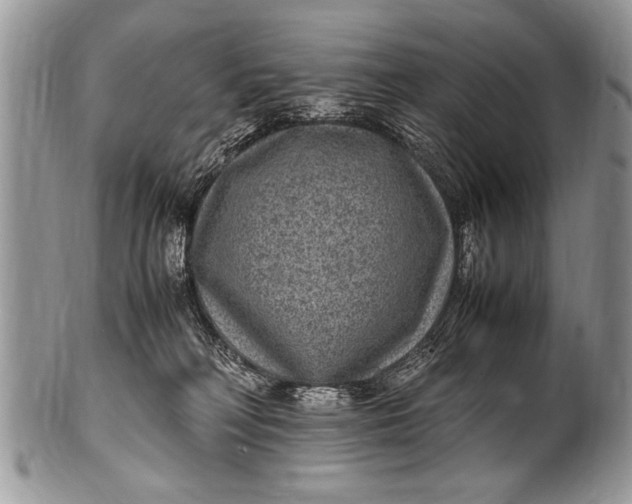 X0000100420230200806201830