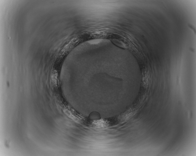 X0000100420231200806201830
