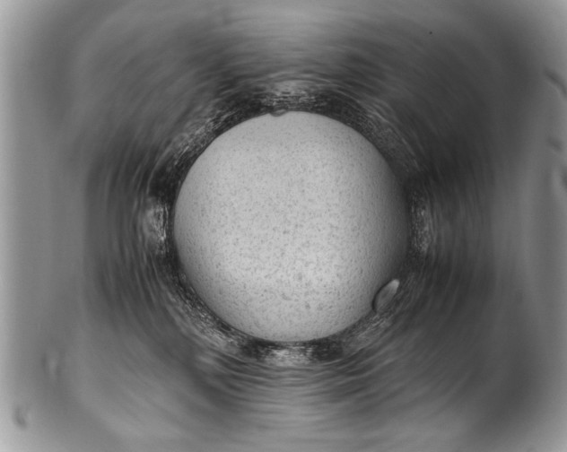 X0000100420232200806201830