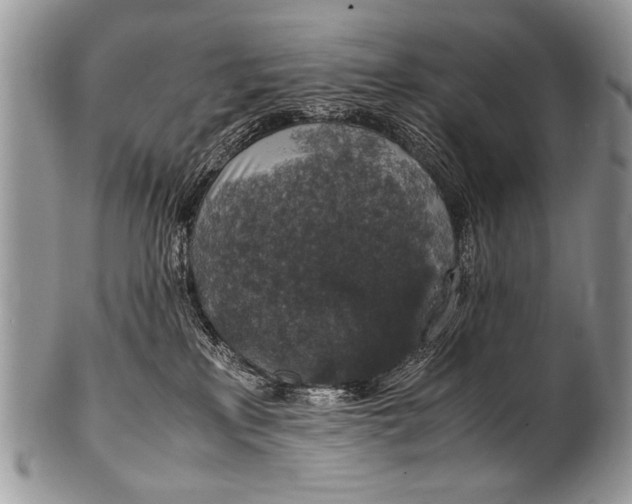 X0000100420233200806201830