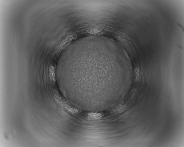 X0000100420234200806201830