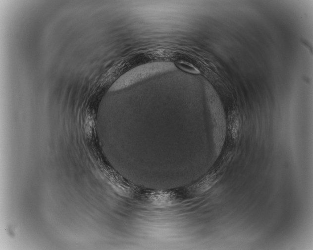 X0000100420235200806201830