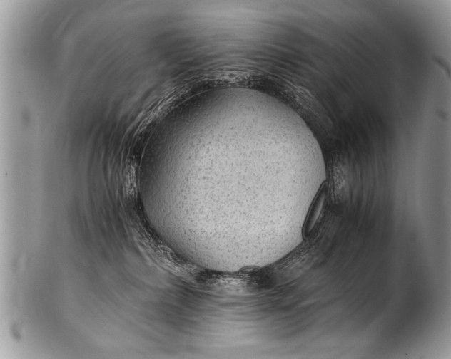 X0000100420236200806201830