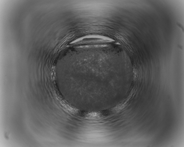 X0000100420237200806201830