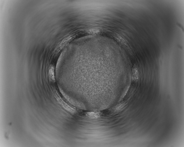 X0000100420238200806201830