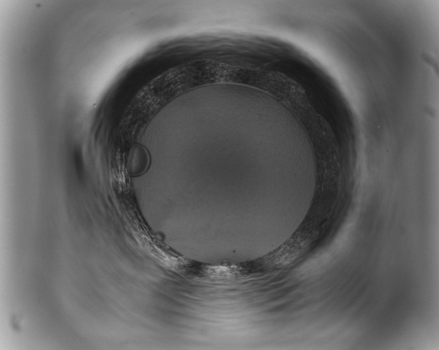 X0000100420239200806201830