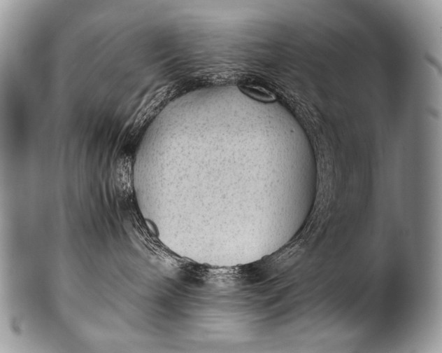 X0000100420240200806201830