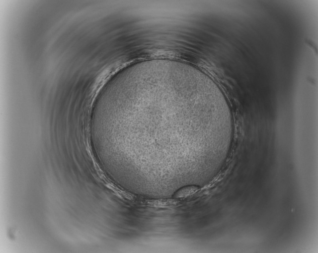 X0000100420241200806201829