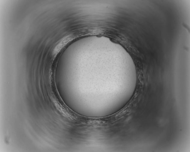 X0000100420242200806201829