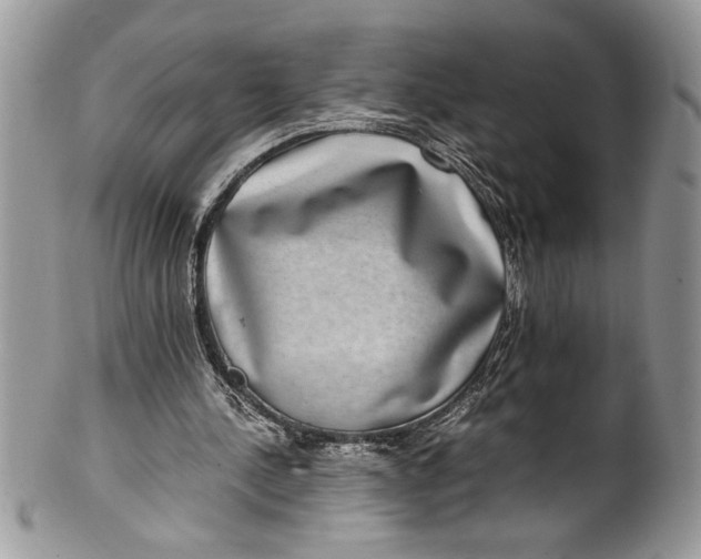 X0000100420244200806201829