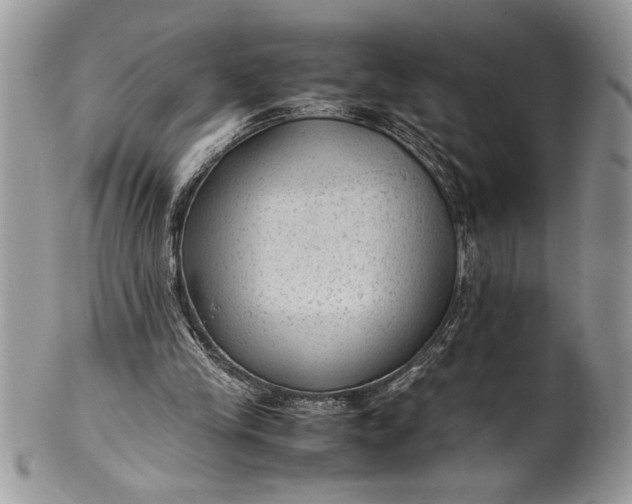 X0000100420245200806201829