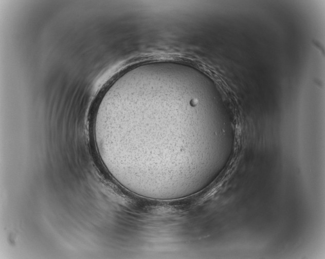 X0000100420246200806201829