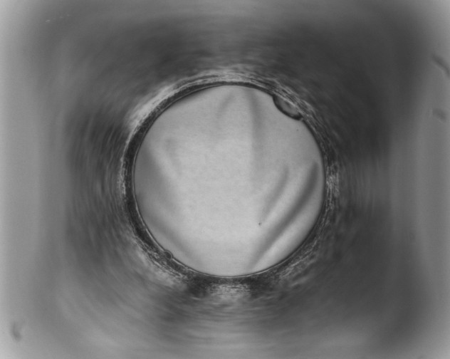 X0000100420248200806201829