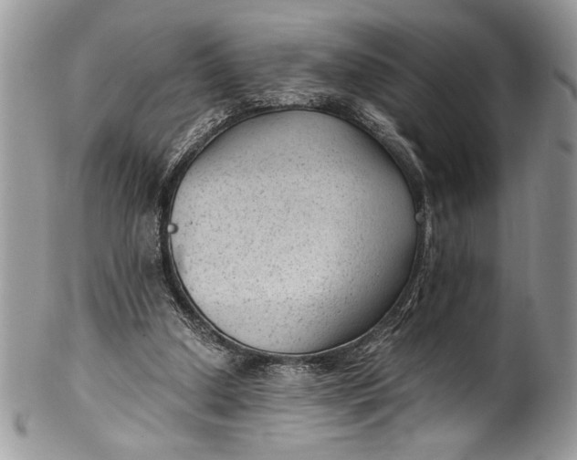 X0000100420250200806201829