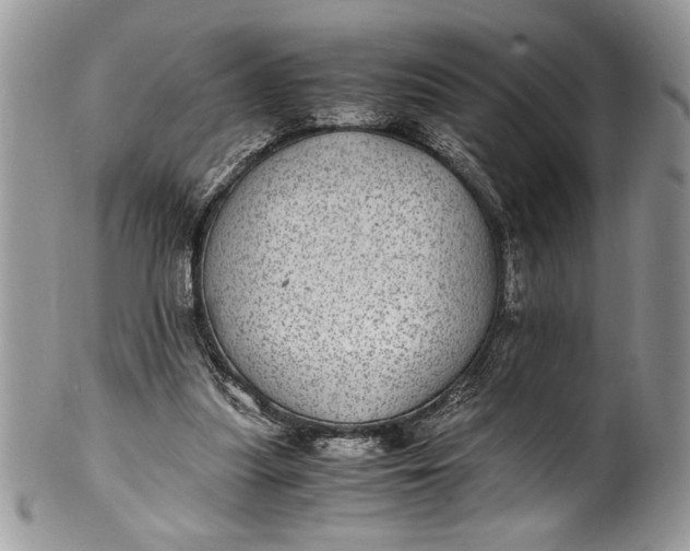 X0000100420251200806201829