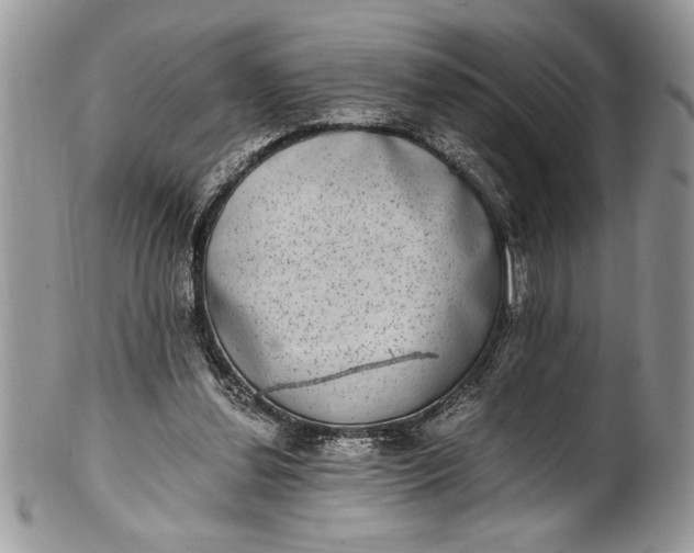 X0000100420252200806201829