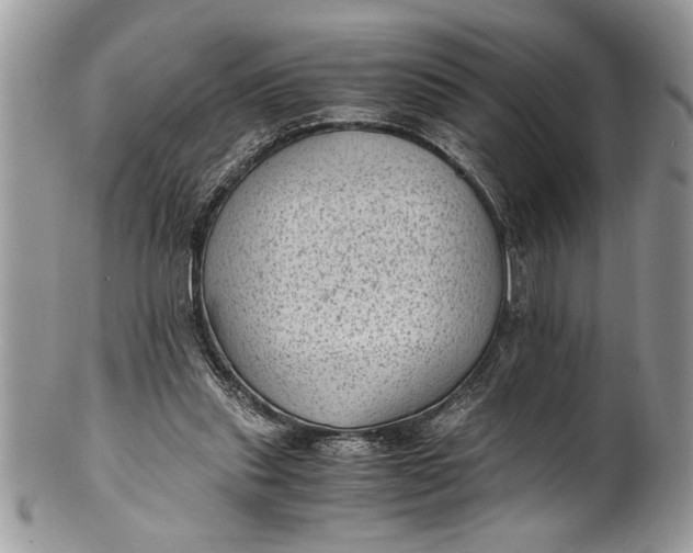 X0000100420253200806201829