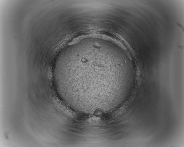 X0000100420257200806201829