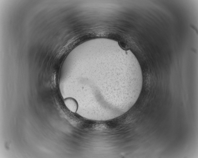 X0000100420262200806201829