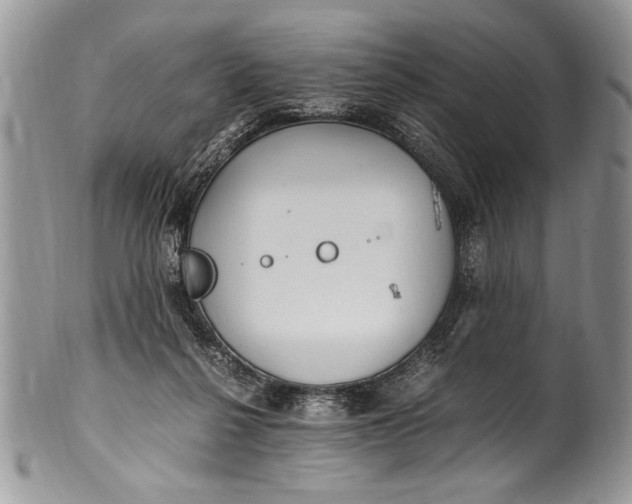 X0000100420264200806201829