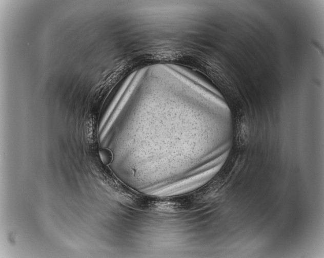 X0000100420268200806201829