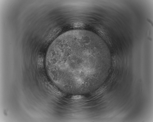 X0000100420269200806201829