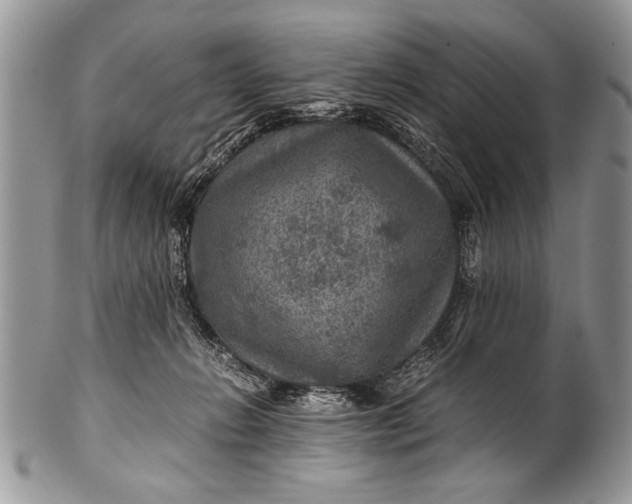 X0000100420270200806201829