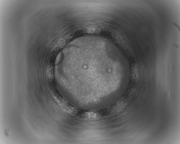 X0000100420272200806201829