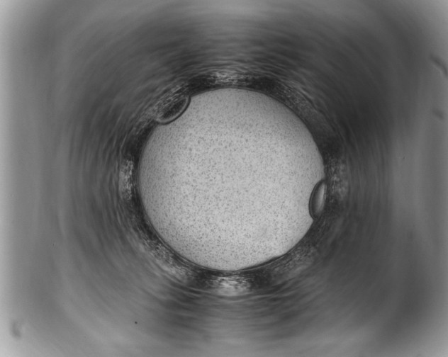 X0000100420275200806201829