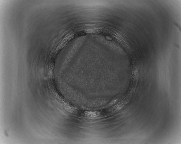 X0000100420277200806201829