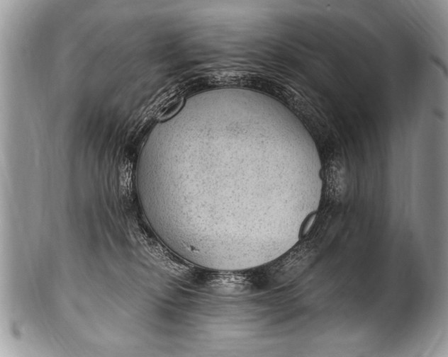 X0000100420278200806201829