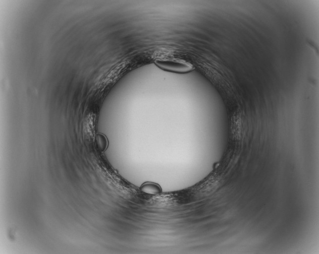 X0000100420280200806201829