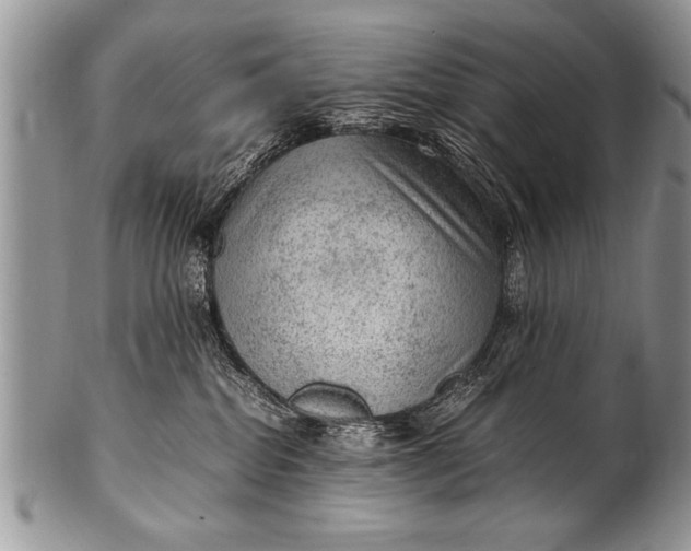 X0000100420282200806201830